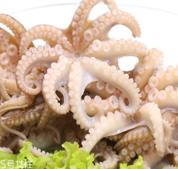 章魚是什么顏色？章魚是什么樣子？