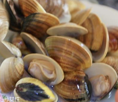 文蛤是海鮮還是河鮮？文蛤是海鮮嗎？