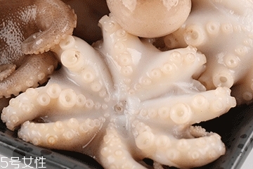 章魚(yú)可以炸嗎？章魚(yú)能油炸嗎？