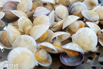 文蛤是淡水還是海水？文蛤是淡水水產(chǎn)嗎？