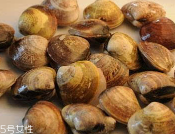文蛤是冷水煮還是熱水？文蛤是用熱水嗎？
