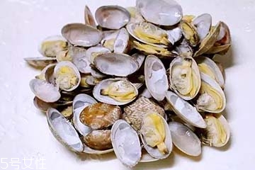 文蛤是冷水煮還是熱水？文蛤是用熱水嗎？