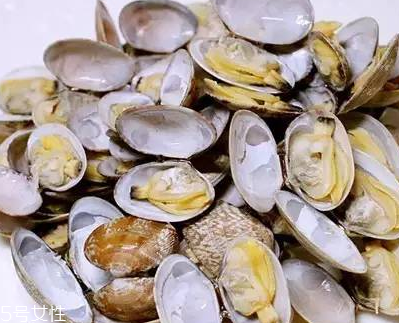 文蛤能做湯嗎？文蛤怎么做湯？
