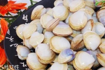 文蛤能放在冰箱里嗎?文蛤怎么保存？