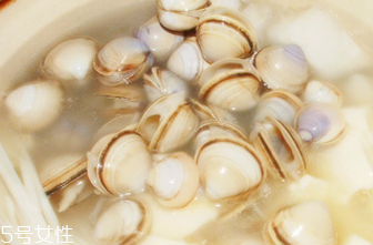 文蛤的食用禁忌 乳房囊腫能吃文蛤嗎？
