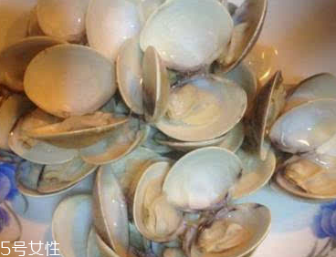 文蛤能給孕婦吃嗎？孕婦能不能吃文蛤？