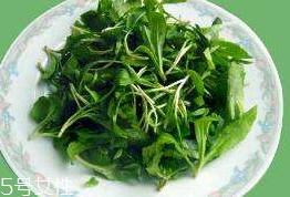 馬蘭頭對人的好處？馬蘭頭有什么好處？