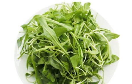 馬蘭頭是馬齒莧嗎？馬蘭頭和馬齒莧的區(qū)別