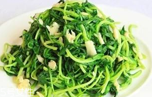 馬蘭頭能給孕婦吃嗎？孕婦能吃馬蘭頭嗎？