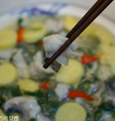 馬蘭頭可以煮魚湯嗎？馬蘭頭怎么煮魚湯