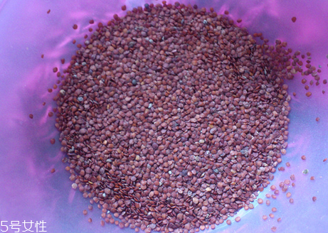 海藻面膜的功效與作用 用海藻面膜有什么好處？