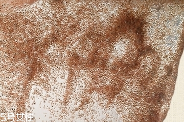 海藻面膜會發(fā)芽嗎？真的海藻面膜會發(fā)芽嗎？