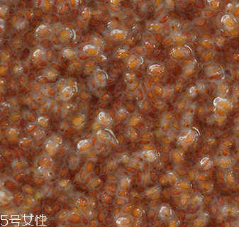 海藻面膜能加蜂蜜嗎？蜂蜜和海藻做面膜好嗎？