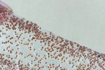 海藻面膜可以加維生素e嗎？海藻加維生素e可以用嗎？