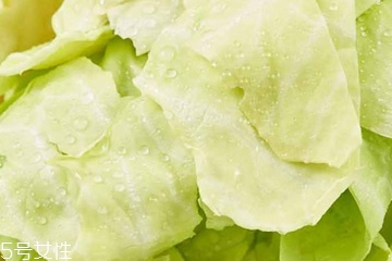 牛心菜是寒性還是熱性？牛心菜是寒性的嗎？