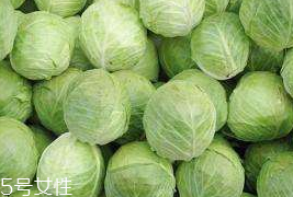 牛心菜和紫甘藍的區(qū)別 牛心菜和紫甘藍怎么分辨？