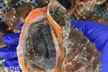 海螺開水還是冷水下鍋？海螺冷水還是熱水煮？
