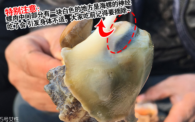 海螺會(huì)中毒嗎？吃海螺中毒多久會(huì)緩解？