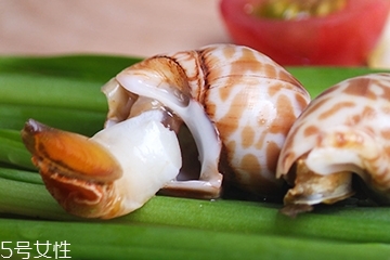 海螺能和西瓜一起吃嗎？海螺和西瓜能同食嗎？
