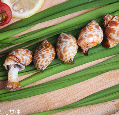 海螺能和西瓜一起吃嗎？海螺和西瓜能同食嗎？
