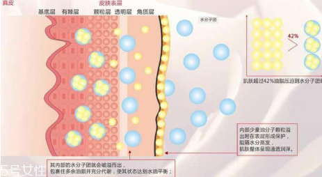 頑固痘痘怎么消除？油皮為什么反復(fù)爆痘？