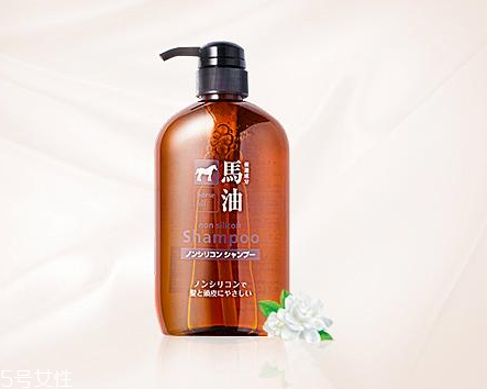 馬油洗發(fā)水是哪里產(chǎn)的？馬油洗發(fā)水是哪國(guó)的？