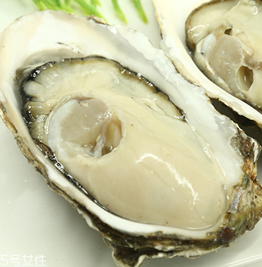 生蠔是蒸還是煮？生蠔蒸好吃還是煮好吃？