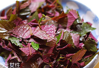 紫蘇葉能治皮膚過敏嗎？