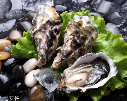生蠔每天吃幾個(gè)最好？生蠔每日最佳食用量
