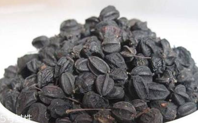 刺五加對肝病有好處嗎？