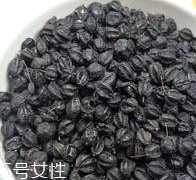 刺五加怎么吃？刺五加有什么用？