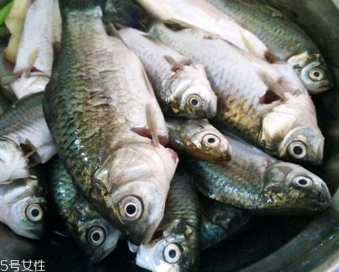 鯽魚(yú)能和胡蘿卜一起吃嗎 這個(gè)是可以的