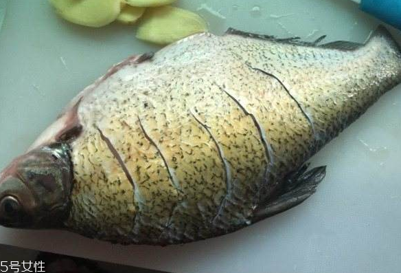 鳊魚(yú)有魚(yú)腥線嗎 淡水魚(yú)一般都有