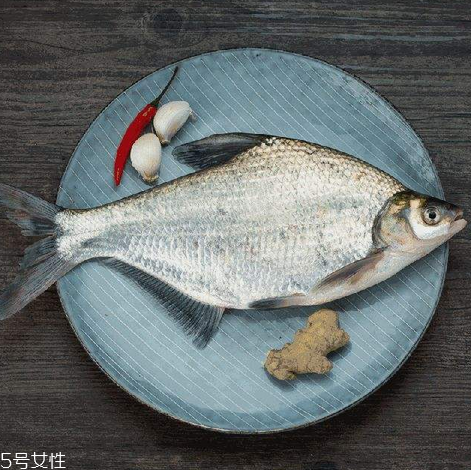 鳊魚(yú)有魚(yú)腥線嗎 淡水魚(yú)一般都有