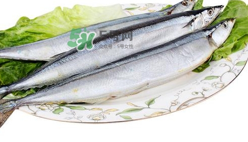 秋刀魚(yú)怎么處理？秋刀魚(yú)怎么挑選