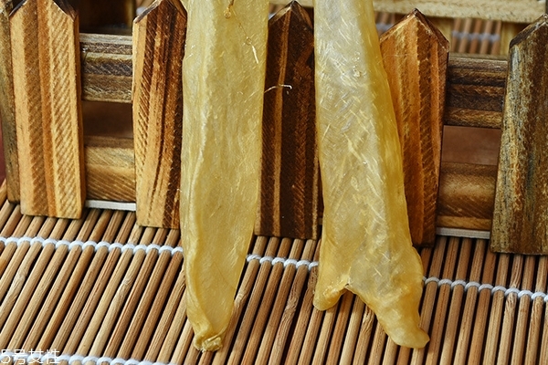 花膠為什么會有小蟲 這個是正?，F(xiàn)象