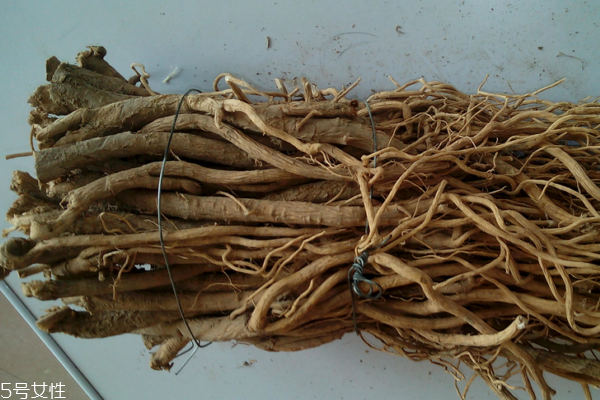 黃芪為什么會生蟲 這個是正?，F(xiàn)象