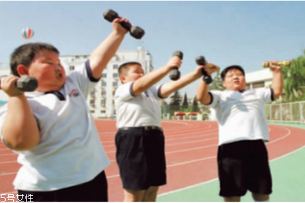 應(yīng)該注意小孩脂肪和膽固醇的攝取量嗎？