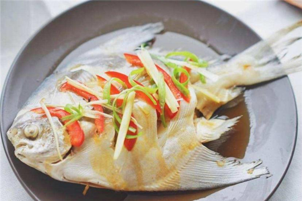 白鯧魚(yú)和金鯧魚(yú)哪個(gè)好 白鯧魚(yú)和金鯧魚(yú)區(qū)別對(duì)比