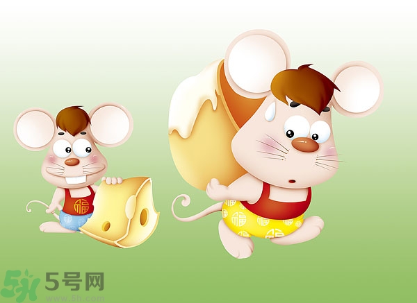 吃奶酪會(huì)過敏嗎？芝士是發(fā)物嗎？