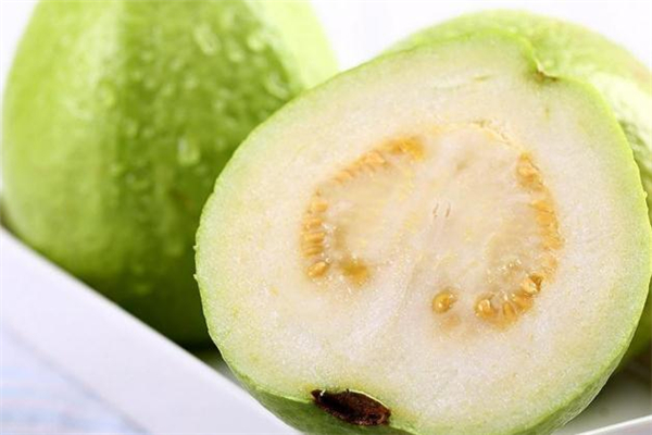 番石榴沒(méi)熟可以吃嗎 番石榴沒(méi)熟怎么辦
