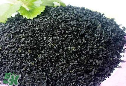 怎么辨別螺旋藻的真假？買螺旋藻怎么挑？