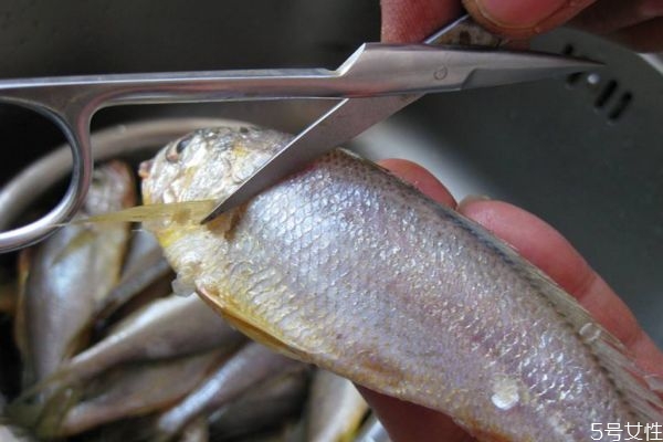 什么是小黃魚(yú)呢 小黃魚(yú)有什么營(yíng)養(yǎng)價(jià)值呢