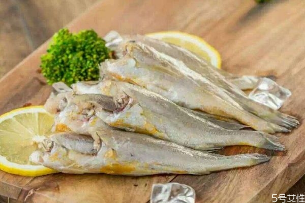 什么是小黃魚(yú)呢 小黃魚(yú)有什么營(yíng)養(yǎng)價(jià)值呢