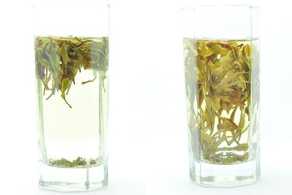 白牡丹茶用多少度水泡 白牡丹茶用什么茶具
