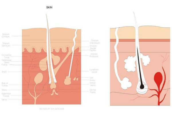 糾結身體乳哪個牌子好？從功效下手才穩(wěn)