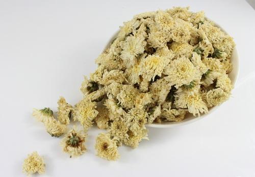 貢菊花月經期能喝嗎 貢菊花能天天喝嗎