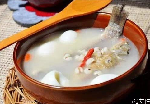 貓咪坐月子吃什么好 產后母貓如何補充營養(yǎng)
