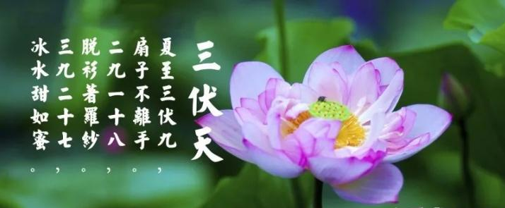 三伏天是什么？三伏天應(yīng)注意什么？