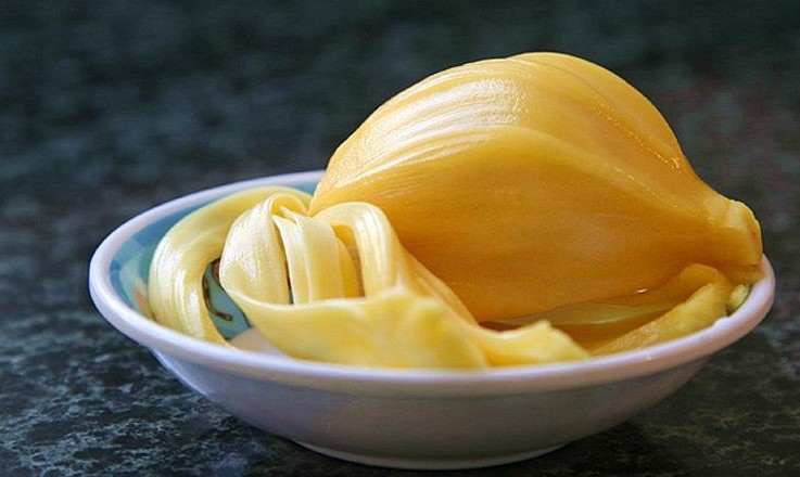 菠蘿蜜核的功效與作用、禁忌和食用方法